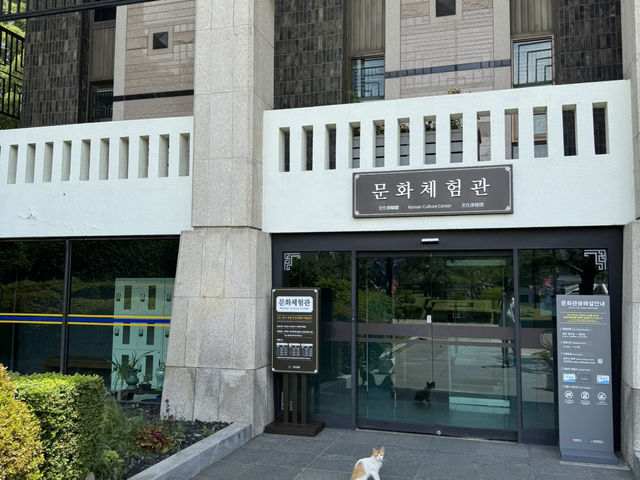 다도 체험과 함께하는 역사 여행