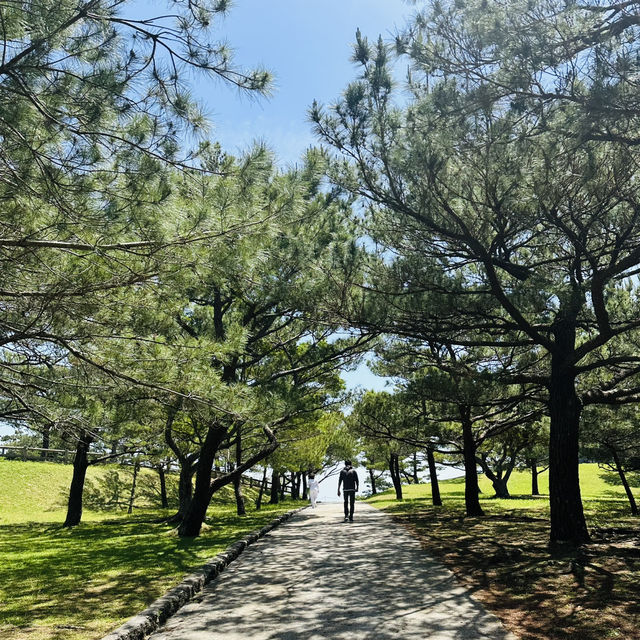 Ancient Walls & Blue Skies: A Walk Through Zakimi Castle Ruins