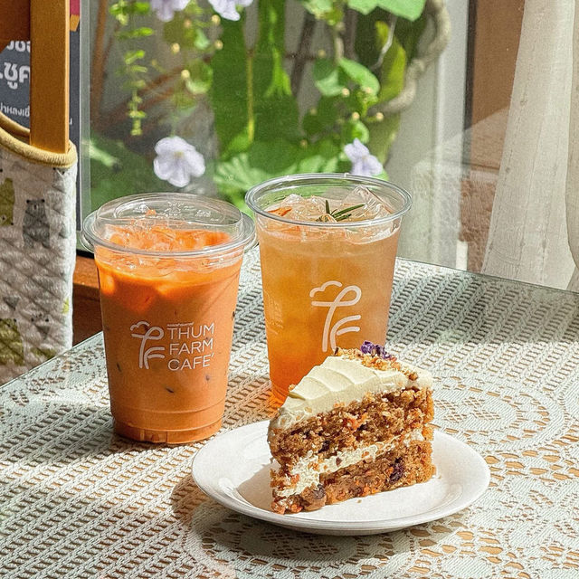 Thum Farm Cafe' - ธรรมฟาร์ม • Chonburi  🌳🏠🪵⛲️🌻