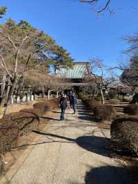 Gotokuji Temple in Tokyo