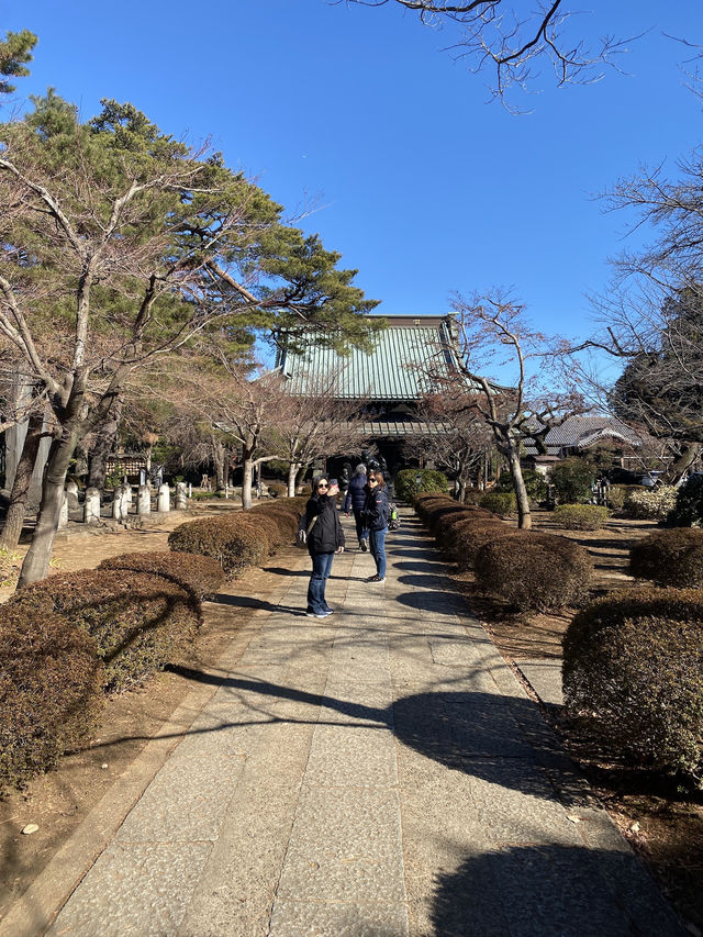 Gotokuji Temple in Tokyo
