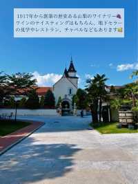 🍇ワイン好きな人集合！日本にある南フランス in 甲府市🍇