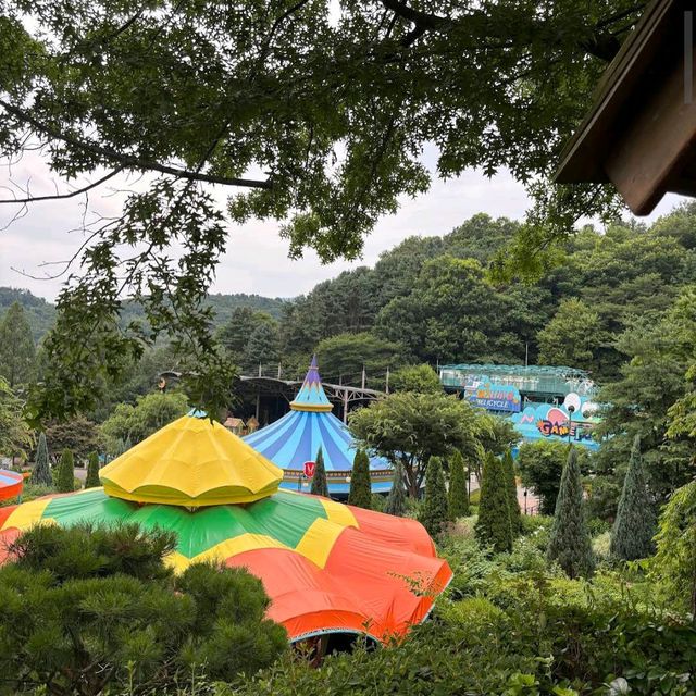에버랜드 (Everland)