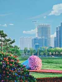Shijiazhuang Welcomes Everyone with Giant Bouquets this May Day! 💐