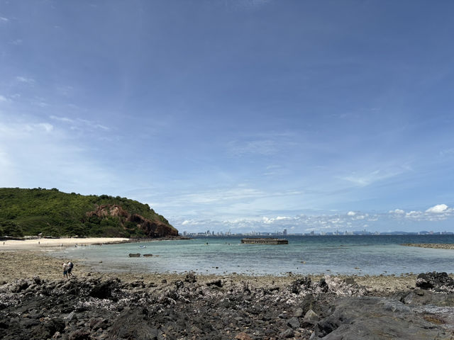 ☀️🌴 Escape to Paradise: Coral Island Adventure 🌊🐠