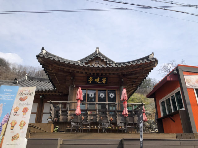 🌊釜山與大邱雙城漫遊｜入住SOLARIA HOTEL✨