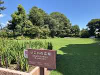 熊本水前寺成趣園：細川流盆石與神聖立砂的優雅時光