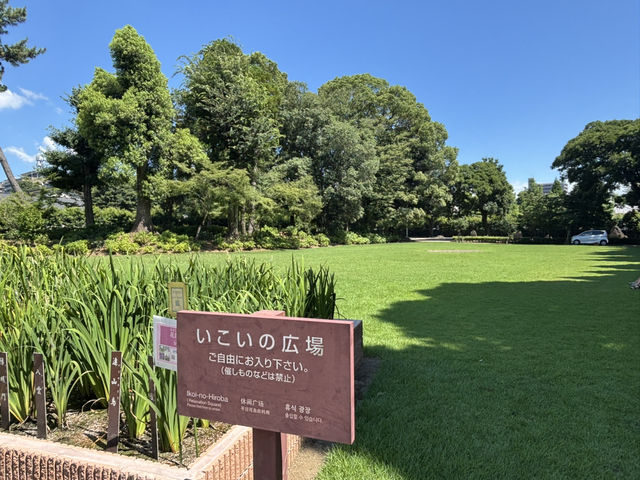熊本水前寺成趣園：細川流盆石與神聖立砂的優雅時光