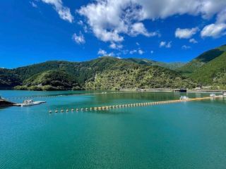 Beautiful Scenery: Lake Okutama