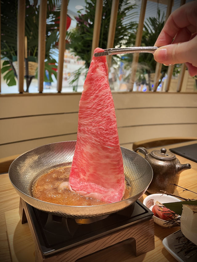 有田黑毛牛正式登陸沙田