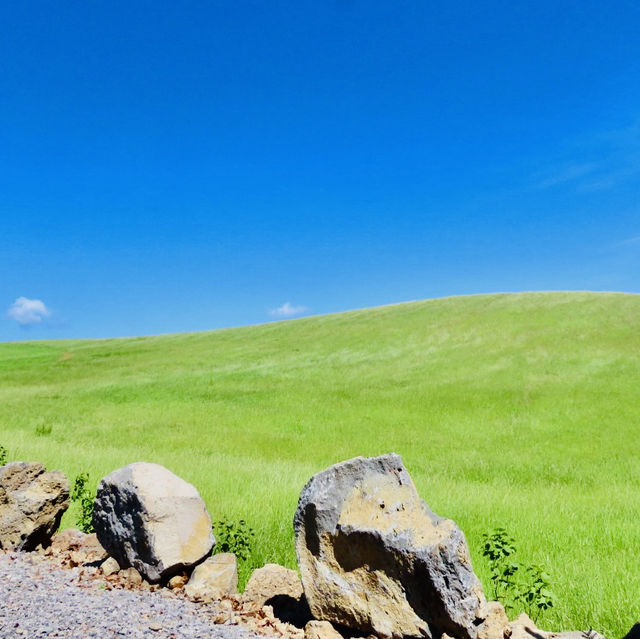 A Peaceful Escape to Authentic Jeju Nature