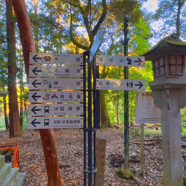 Kyoto