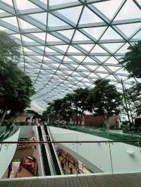 ✨A Layover That Felt Like a Vacation – My Amazing Experience at Changi Airport ✨