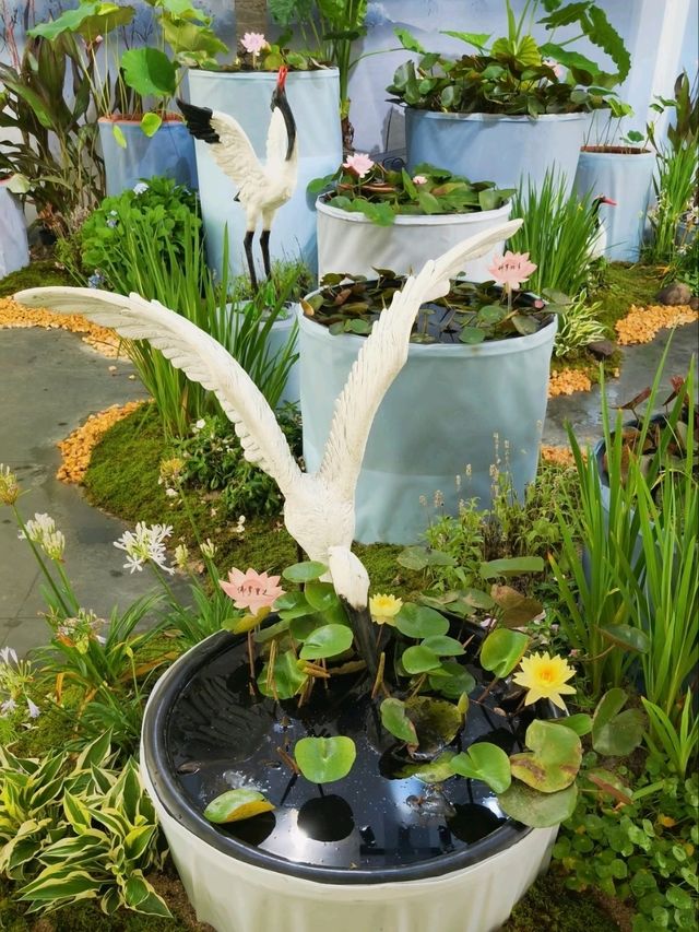 Summer’s Gentleness Lies Within the Lotus Petals