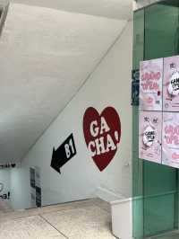 청주 당일치기 여행코스 ✨