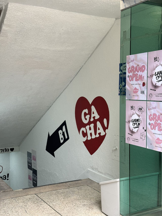 청주 당일치기 여행코스 ✨