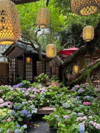 Hidden Garden Retreat in the Heart of Shenzhen 🌸📷
