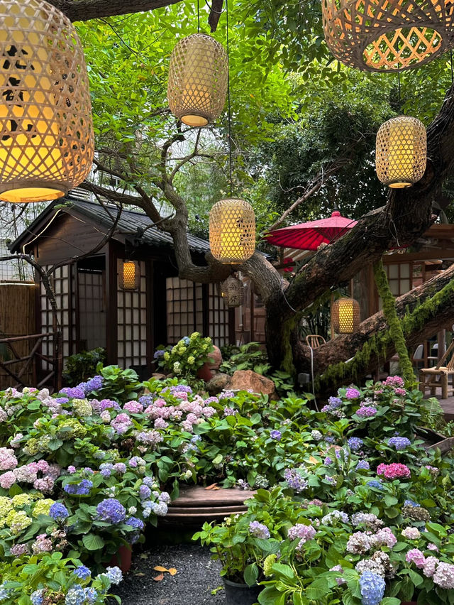 Hidden Garden Retreat in the Heart of Shenzhen 🌸📷