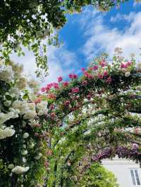 Yokohama English Garden 🌷🌻🌹🌸