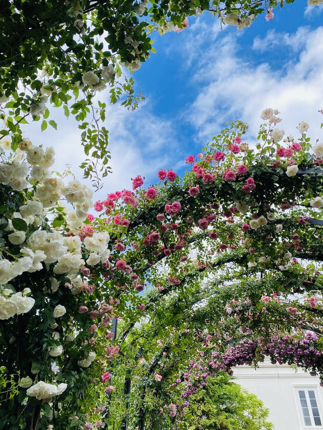 Yokohama English Garden 🌷🌻🌹🌸 Yokohama English Garden 🌷🌻🌹🌸