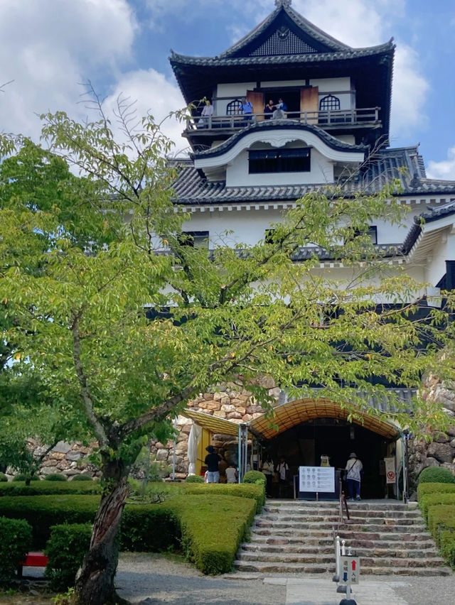 【国宝】犬山城から見下ろす犬山の絶景
