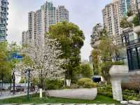 A Vertical Forest in the City – Dayang Jingdian · Tian’an Qianshu