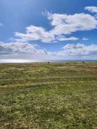 Penguin Paradise and Windy Wonders at Volunteer Point