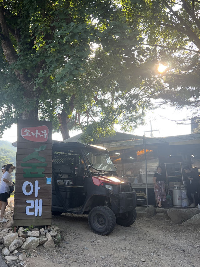 반려견 동반 가능한 계곡🐶