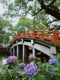 Dazaifu Tenmangu, Summer in Fukuoka ☀️