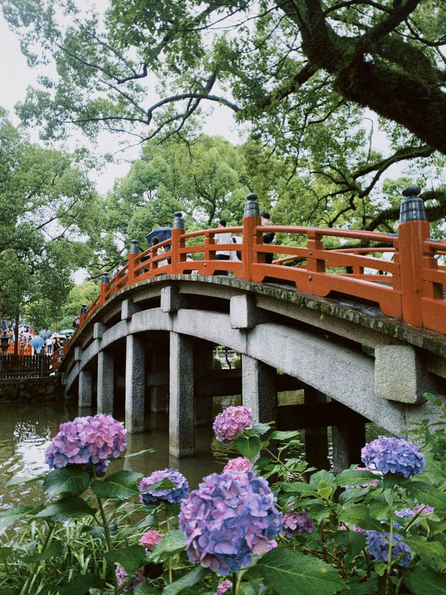 Dazaifu Tenmangu, Summer in Fukuoka ☀️ Dazaifu Tenmangu, Summer in Fukuoka ☀️