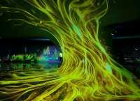 Enchanted forest light show at the Greenhouse