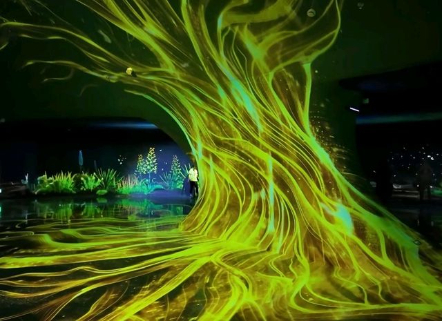 Enchanted forest light show at the Greenhouse