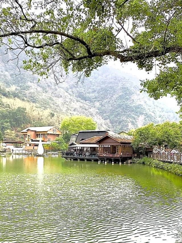 Step Into Nostalgia at Checheng Wood Museum