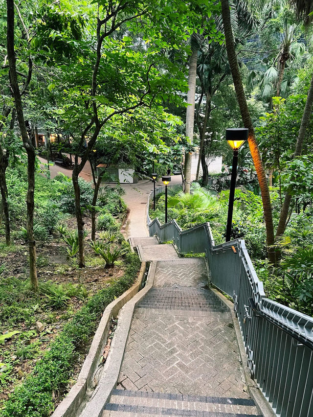 Hong Kong Park Hong Kong Park