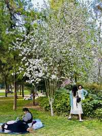 Not Just a Park – This Corner of Bishagang Feels Like Poetry