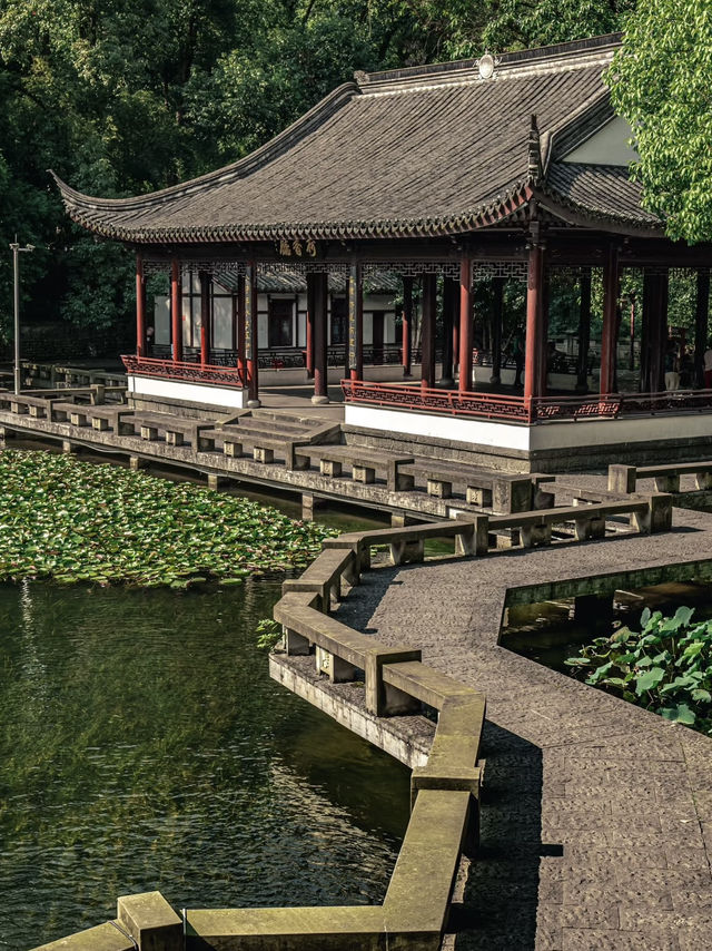Sunshine meets serenity, Zhongshan Park. Sunshine meets serenity, Zhongshan Park.