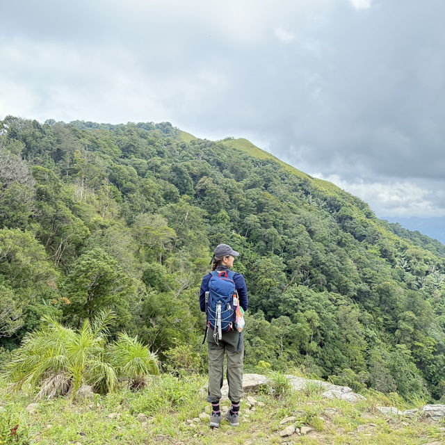 🌿 รีวิวดอยหลวงตาก | เดินป่าชันแต่วิวแจ่มมาก! 🏔️