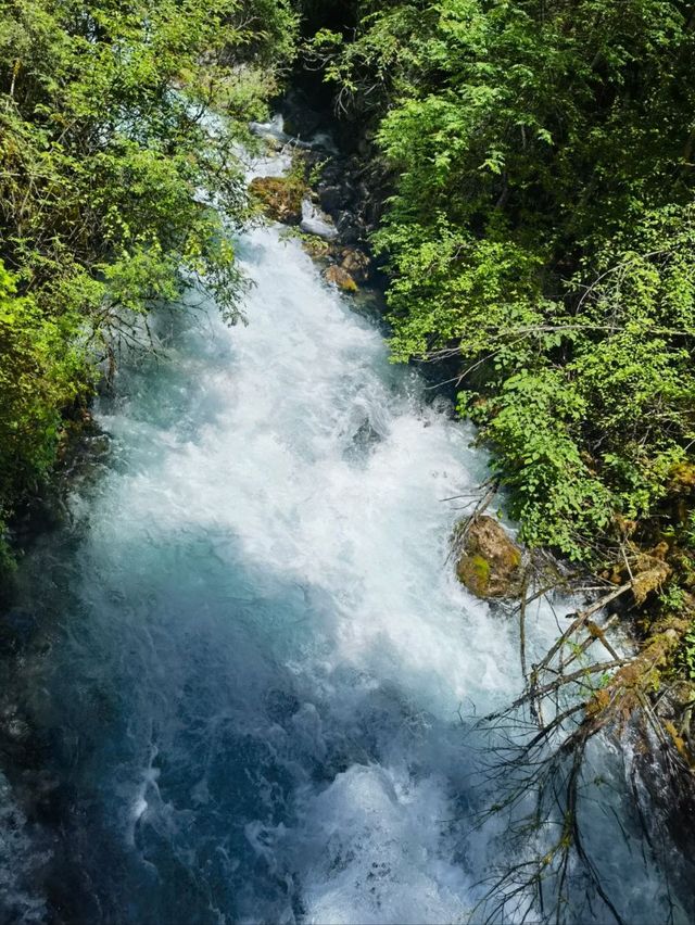 Hidden in the Highlands: The Pearl Shoal Waterfall