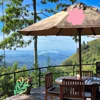 ๐ฟ Discover the Charm of De Badulla, Sri Lanka!