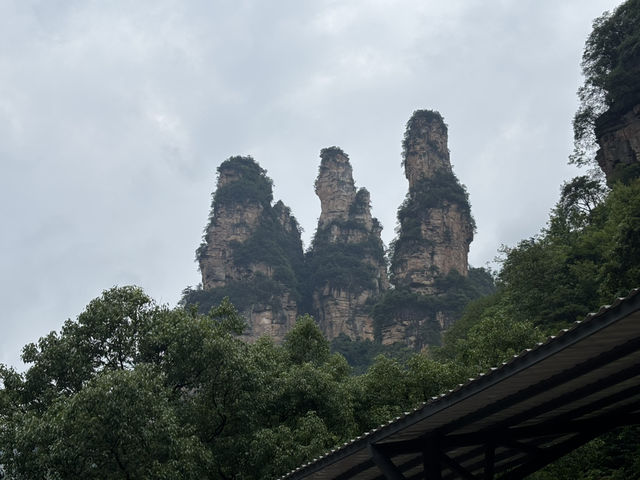 張家界森林公園　4日間まるまる観光