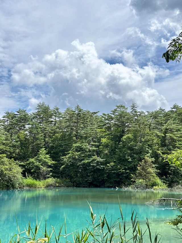 【福島】一生に一度は行きたい!!奇跡の絶景