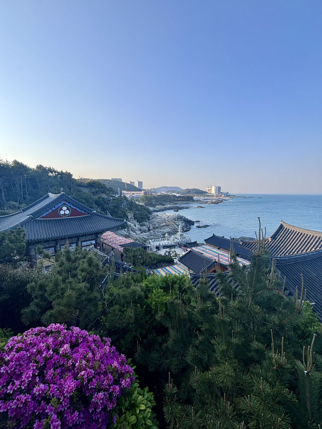 【韓国 釜山】海東龍宮寺 【韓国 釜山】海東龍宮寺