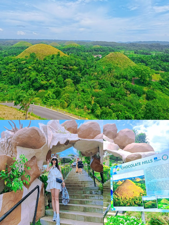 Must-See Bohol Chocolate Hills ✨🌄