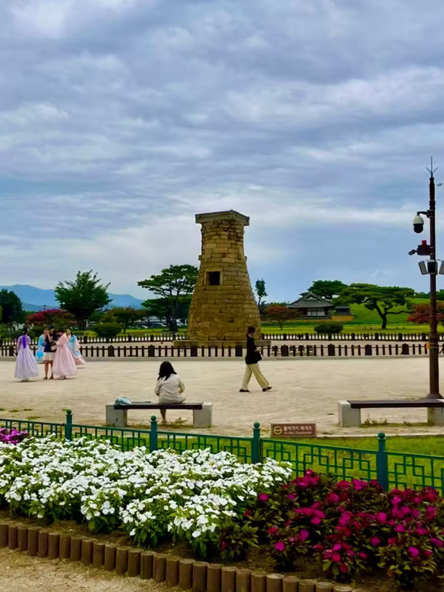 🏯경주 역사 여행 & 힐링 카페☕️🌿
