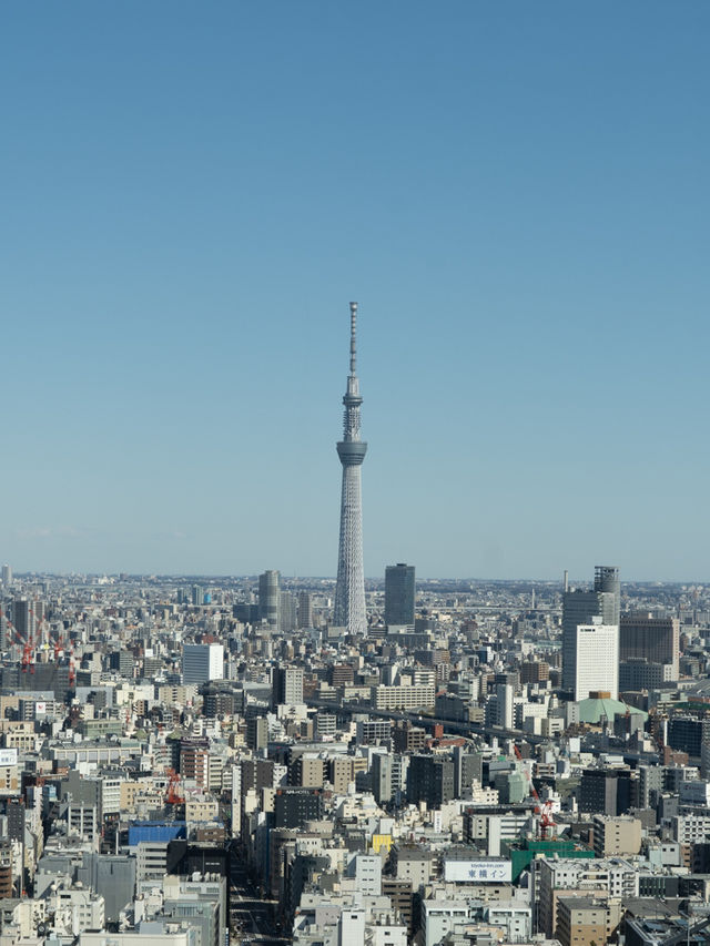 憧れの5ツ星ホテル〈マンダリンオリエンタル東京〉