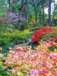 【臨平公園｜城市綠洲寫給日常的長信】 