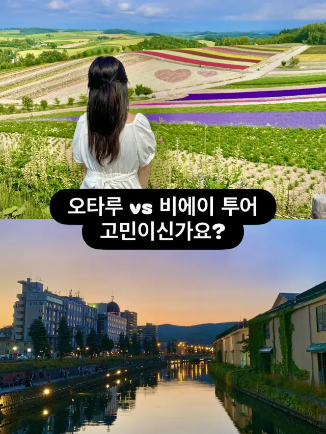 오타루 당일치기와 비에이 투어가 고민이라면?🌊(가이드)