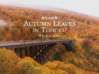 Autumn Leaves in Tohoku