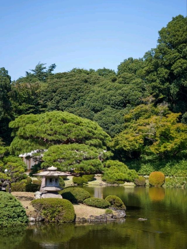 Shinjuku Gyoen National Garden