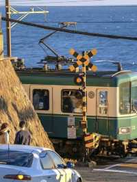 🗼 From Tokyo Buzz to Kamakura Calm: A Perfect Day in Japan 🇯🇵
